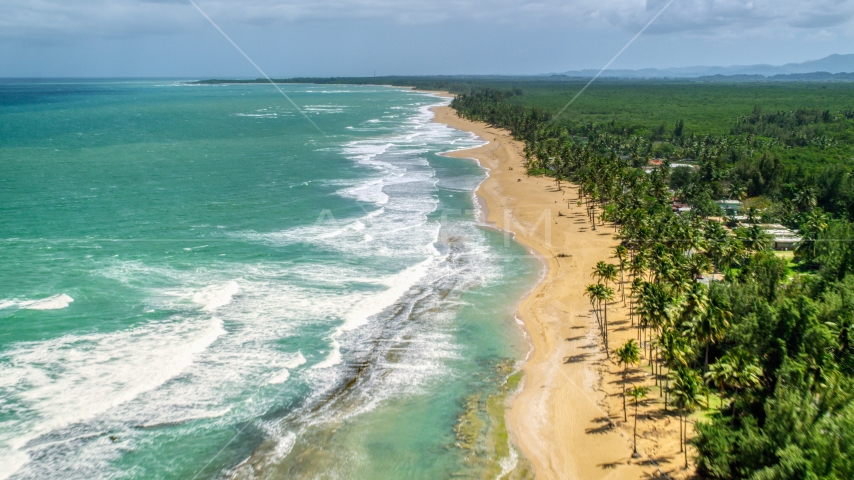 Waves rolling in toward a tree-lined beach in Loiza, Puerto Rico Aerial Stock Photo AX102_019.0000224F | Axiom Images