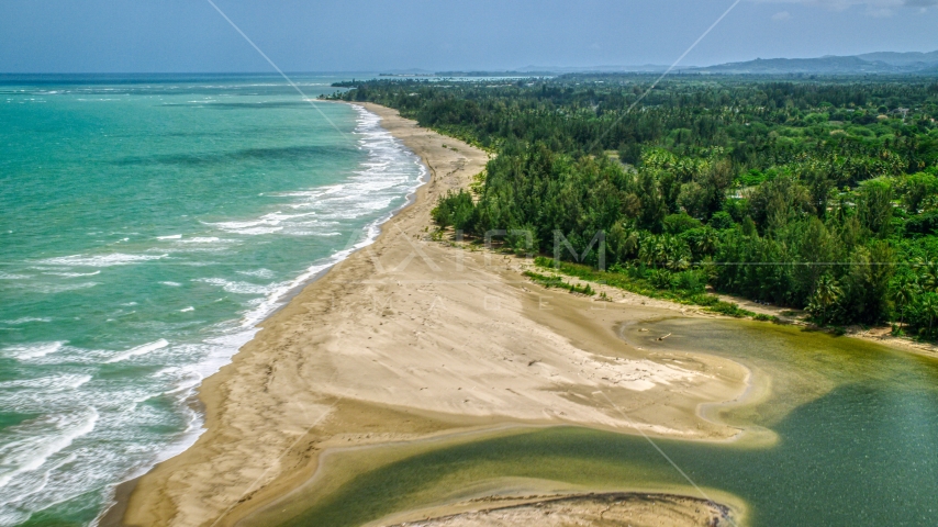 Jungle by an empty beach and turquoise waters, Loiza, Puerto Rico Aerial Stock Photo AX102_030.0000252F | Axiom Images